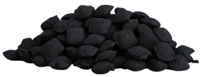 Carbonella argentina