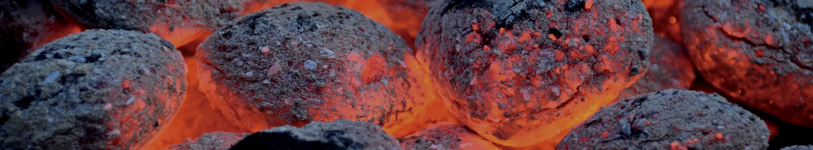 Bricchette di carbonella
